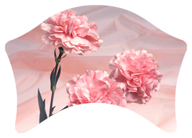 DABAN-022 Pink Carnation